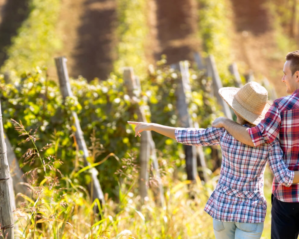A couple wearing flannel shirts walk along a vineyard in Sonoma County, California.
