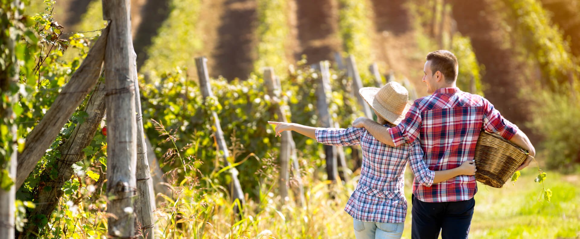 A couple wearing flannel shirts walk along a vineyard in Sonoma County, California.