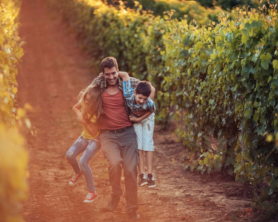 Close up photo of a father taking his children through a vineyard