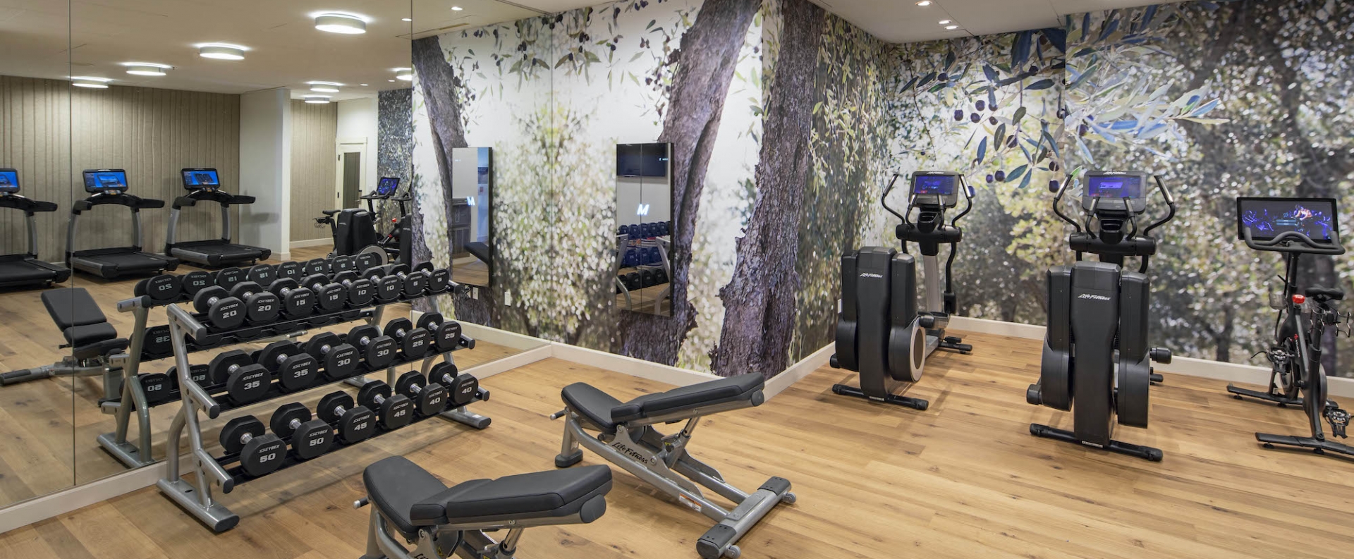 fitness center with a rack of free weights and rows of treadmills.