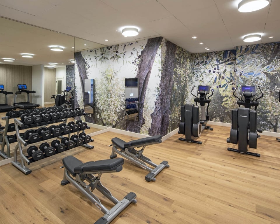 fitness center with a rack of free weights and rows of treadmills.