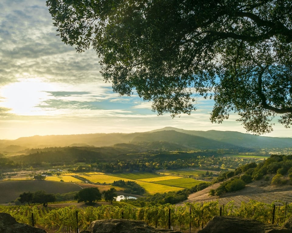 Sonoma Valley Landscape