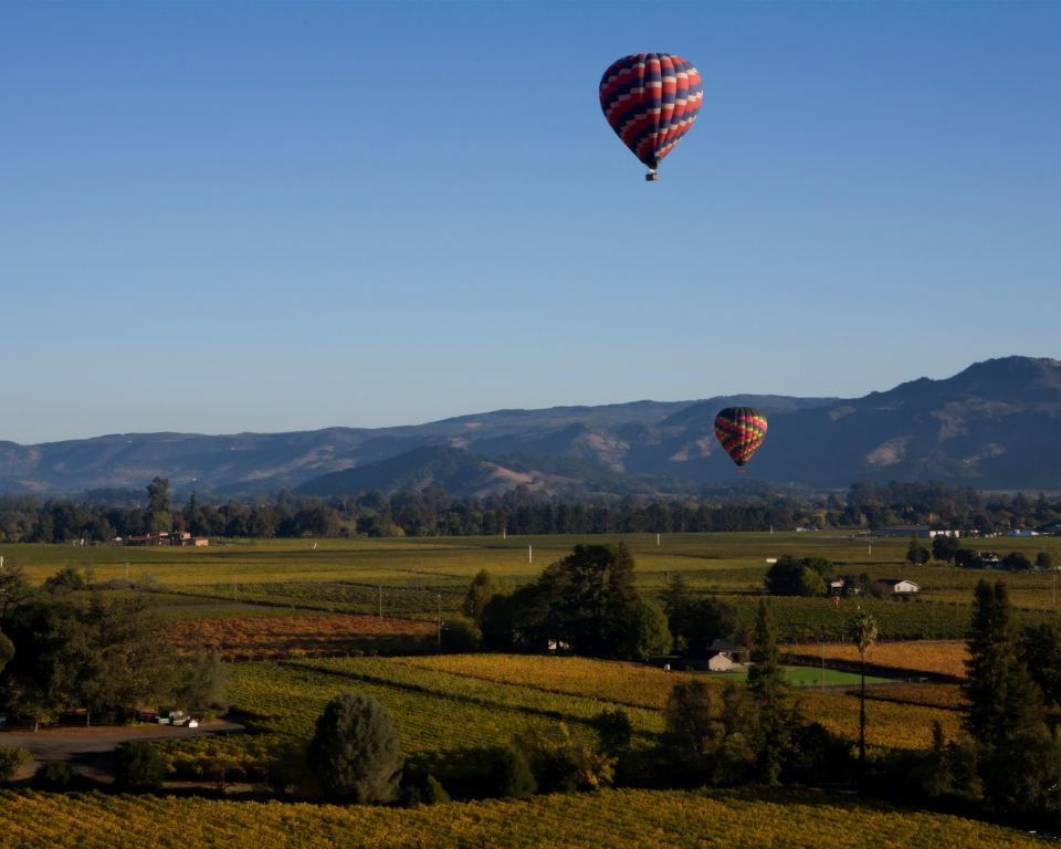 Hot Air Balloon over Sonoma