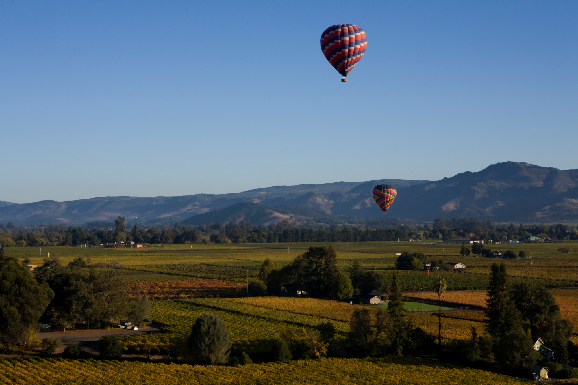Hot Air Balloon over Sonoma