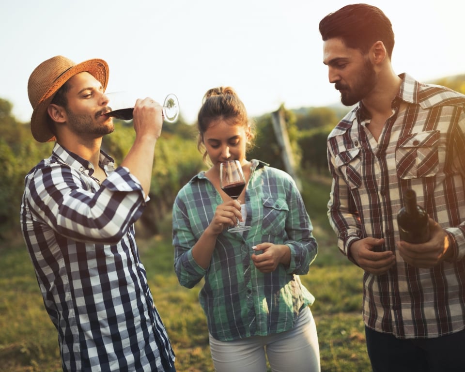 Happy wine tourists tasting wine in vineyard