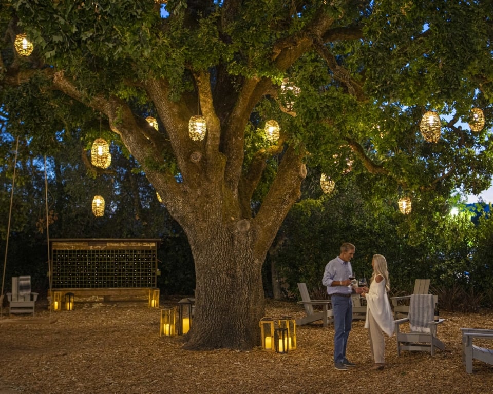 Heritage Oak at night with Weekenders