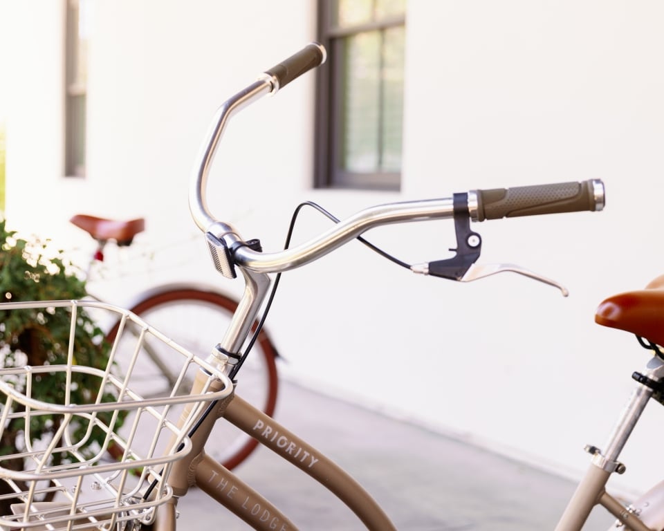 Bike Rentals