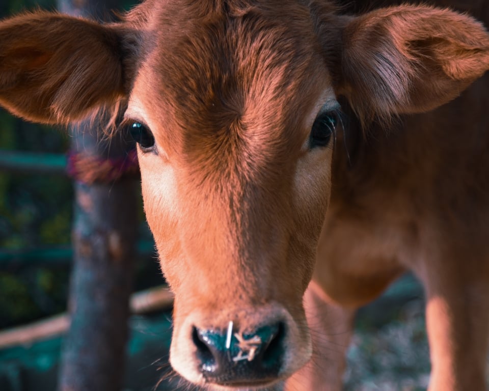 Salt of the Earth Excursions 1