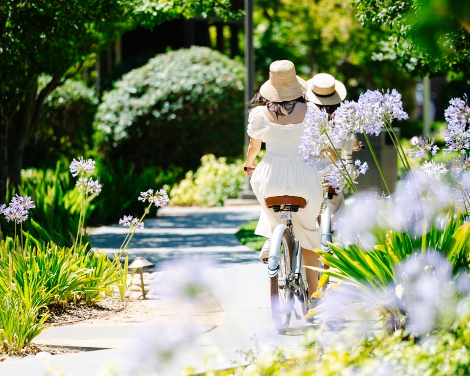 Complimentary Cruisers 1