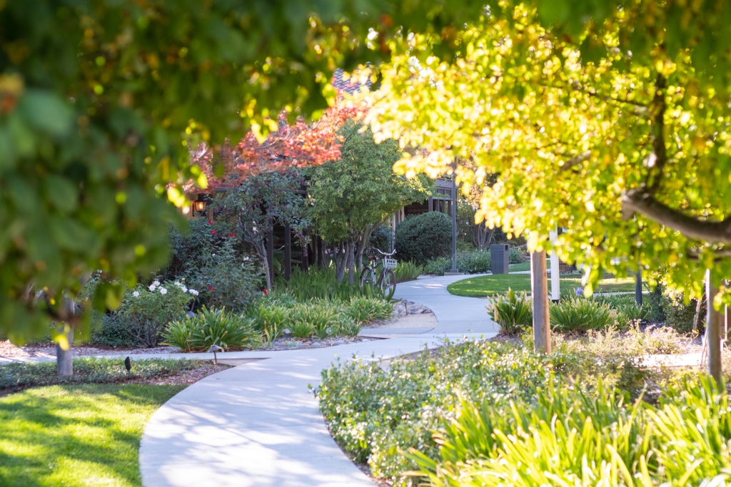 Sun-dappled garden walkway winding through lush landscaped grounds with mature trees and colorful foliage.