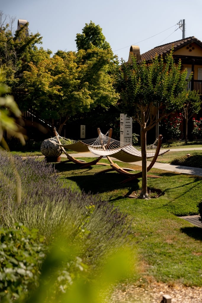 Multiple cream-colored hammocks strung between wooden frames in a manicured garden with lavender plants and mature trees at The Lodge at Sonoma.