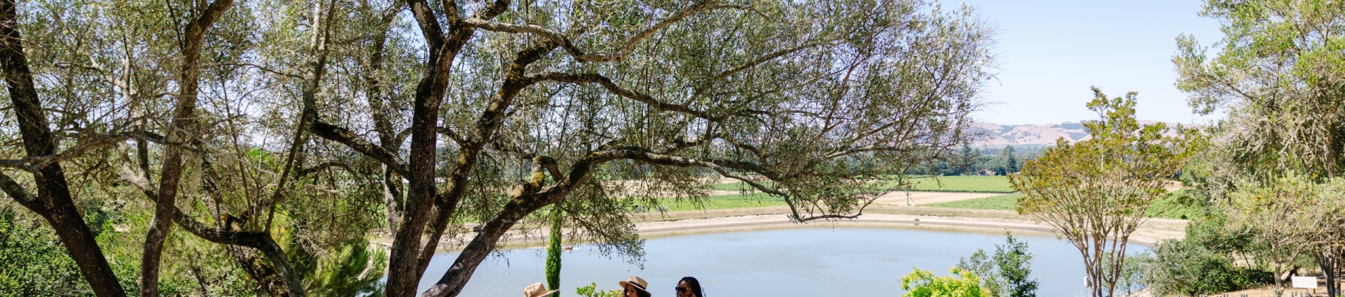 Sonoma vs Napa wine country comparison - The Lodge at Sonoma
