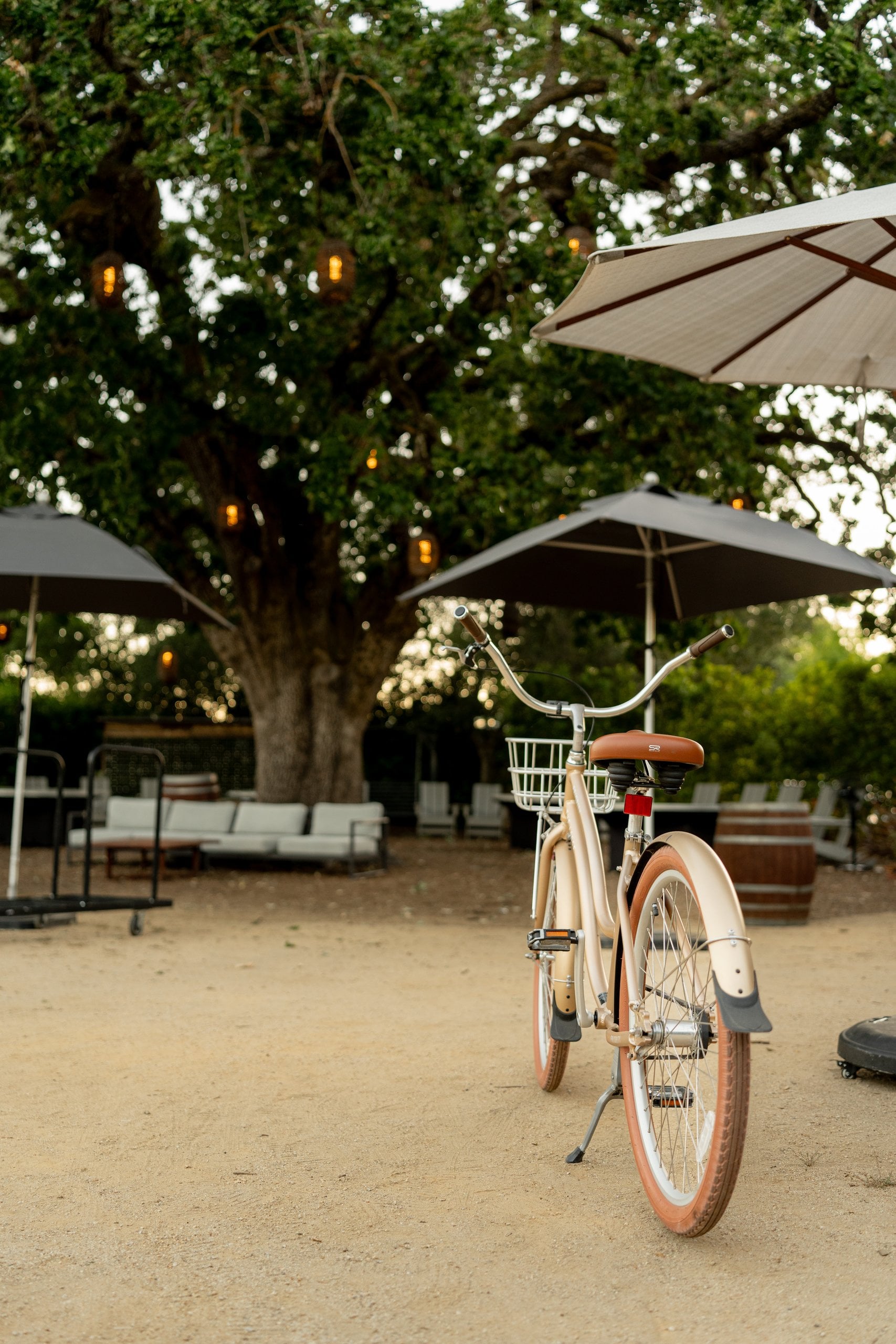 A vintage cruiser bike waits in the courtyard at The Lodge at Sonoma