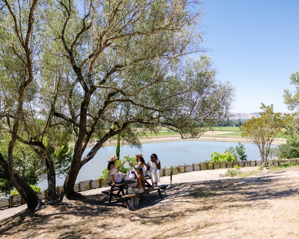 Group of people in dresses and hats sitting at a wooden picnic table under a large tree beside a calm lake on a sunny day